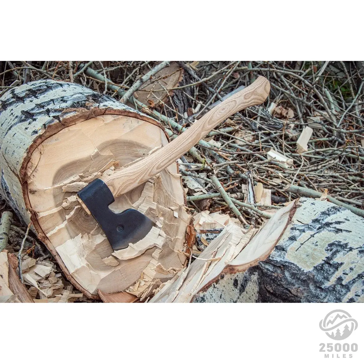 anika_HAHe8mZRsAg main image