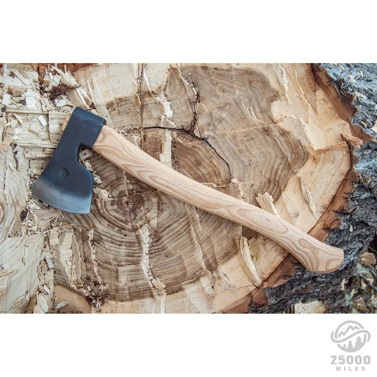 anika_LPenz__iQnI main image