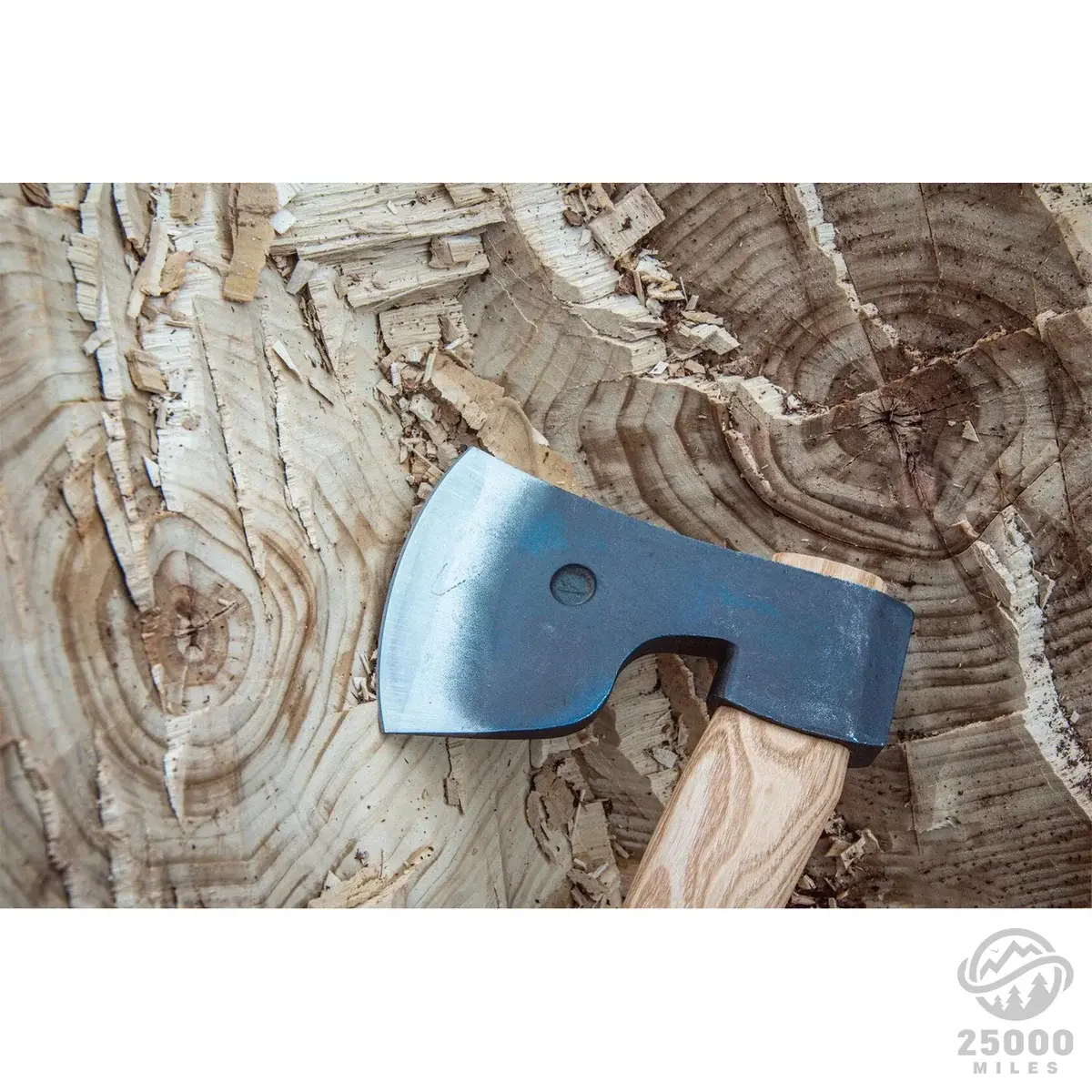 anika_nRdoH9HOLY main image