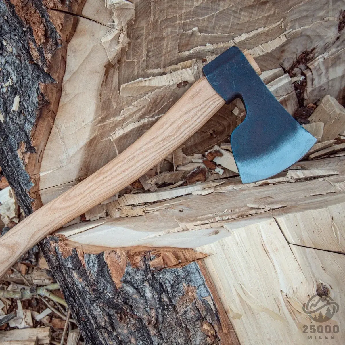 anika_pBDmHrdaE0Q main image