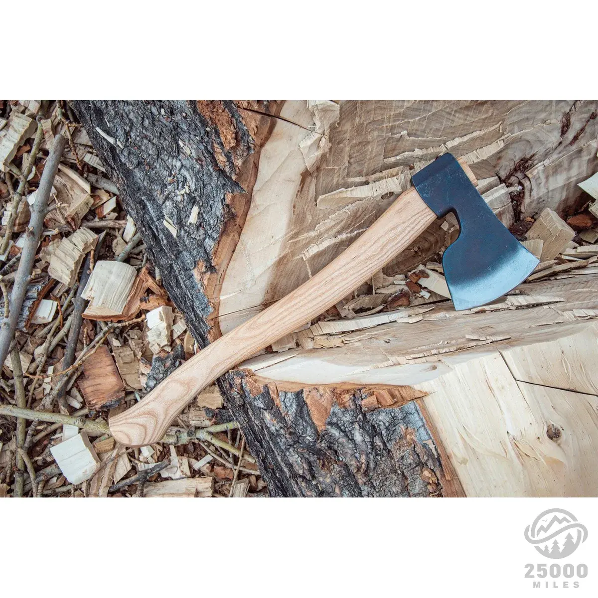 anika_Pwoh_Dc8ZYI main image